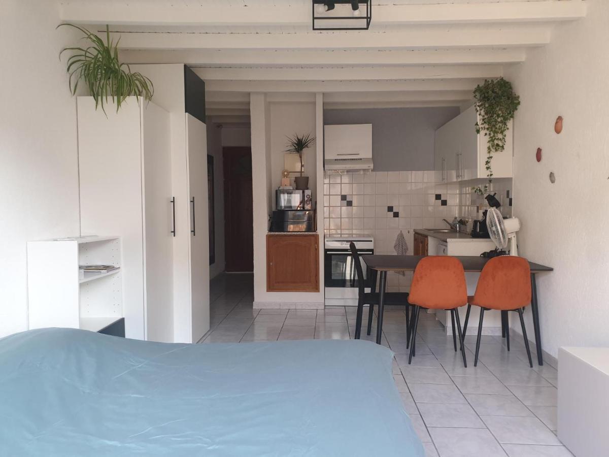 Studio Tout Confort Centre Ville - Balcon, Clim, Tv, Wifi Mazan Eksteriør billede
